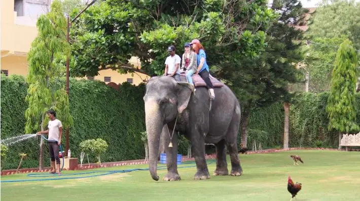 Elephant Village (Hathi Gaon)