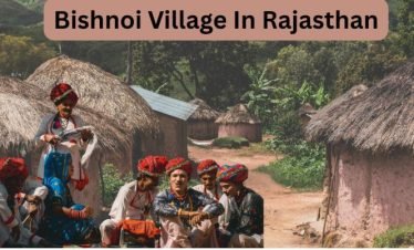 Bishnoi Village Tours