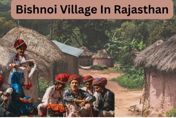 Bishnoi Village Tours