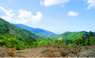Mount Abu Wildlife Sanctuary